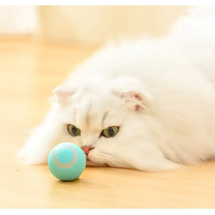 Brinquedos inteligentes para gatos, Bola elétrica